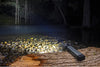 ARB | HORIZON FLASHLIGHT