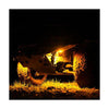 KC | CYCLONE V2 LED SINGLE LIGHT | AMBER