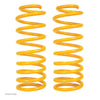 TJM | FRONT COIL SPRING HD PR | 2007+ LC71/LC76/LC78L/LC79