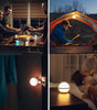 OLIGHT SPHERE - C