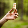 Wood Bioma Wood Wool Firelighters - 50 pieces