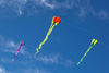 Bora 5