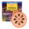 Zero in Citronella Burner and 6 Pack Coils