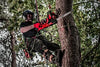 Milwaukee - BMCS4240T Petrol Chainsaw 42CC 40CM