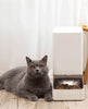 Xiaomi - Smart Pet Feeder UK (24 Hour Offer)